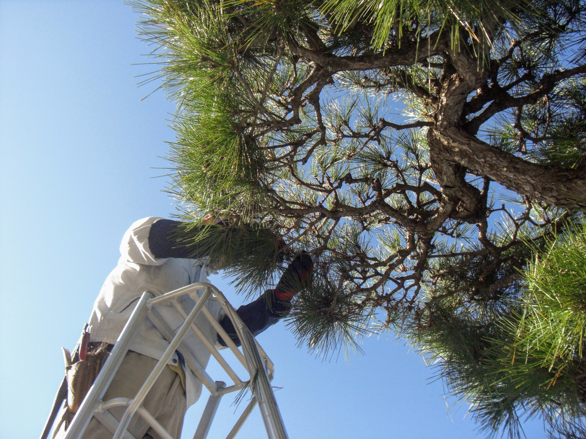 多くのお客さまに選ばれている理由