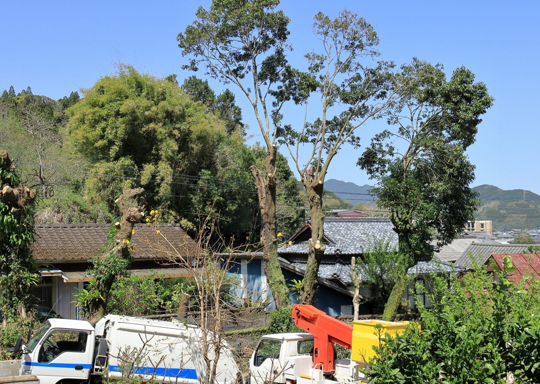 現地確認から作業まで職人が直接対応