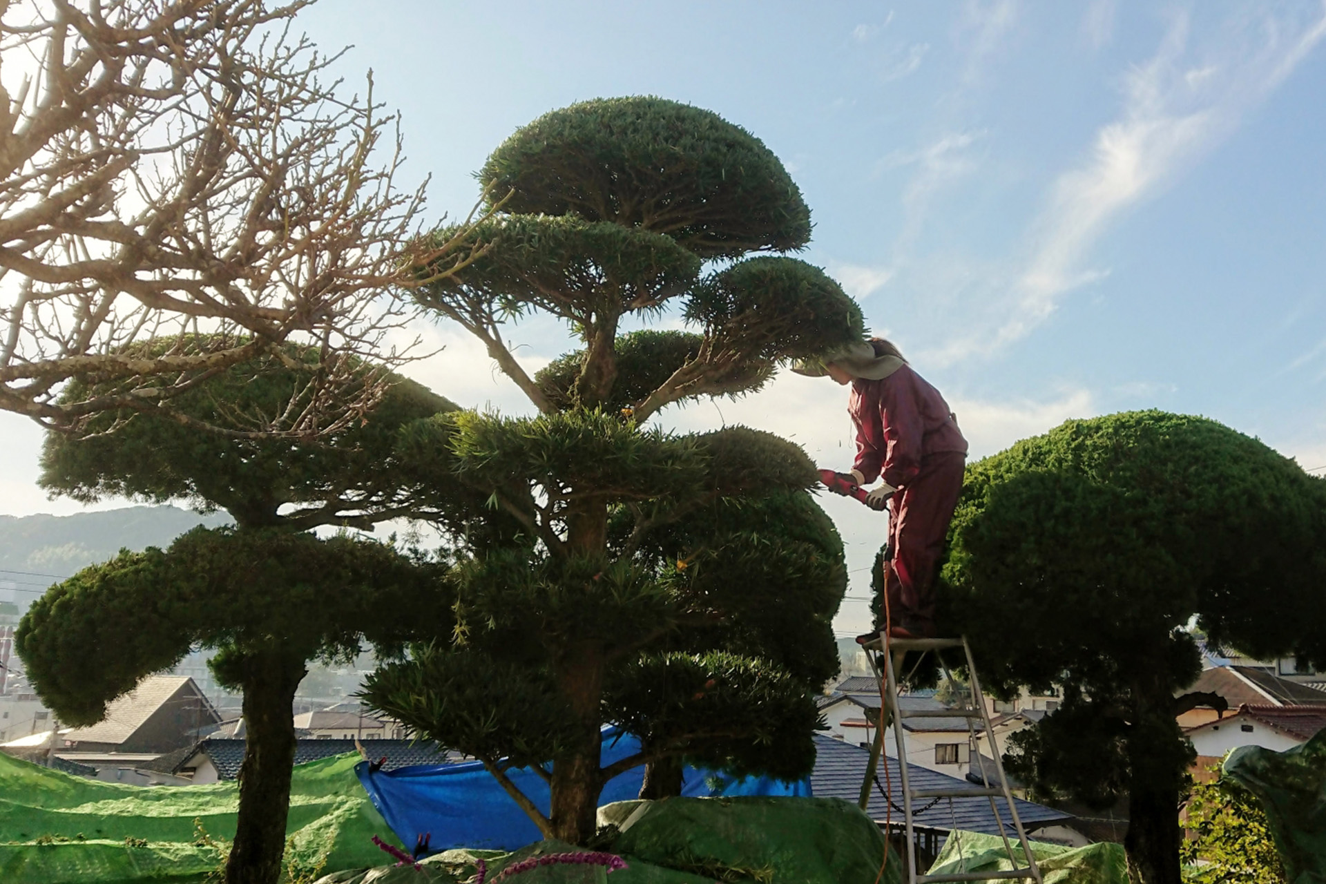 遠方でも安心、立ち会い不要で管理可能