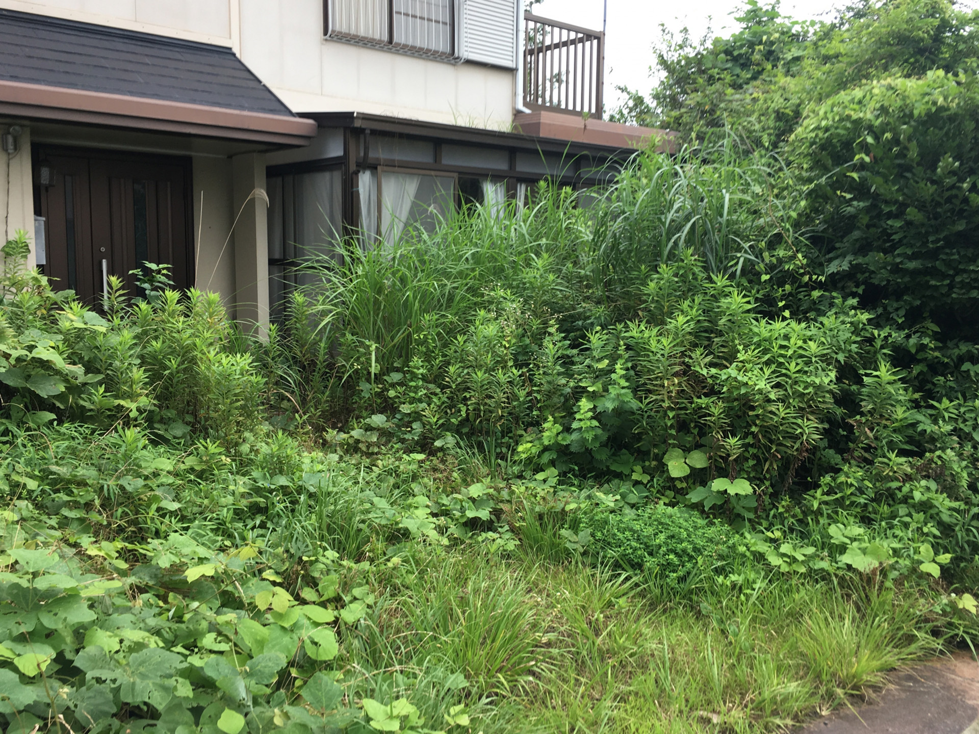 庭木の手入れから雑草対策まで対応