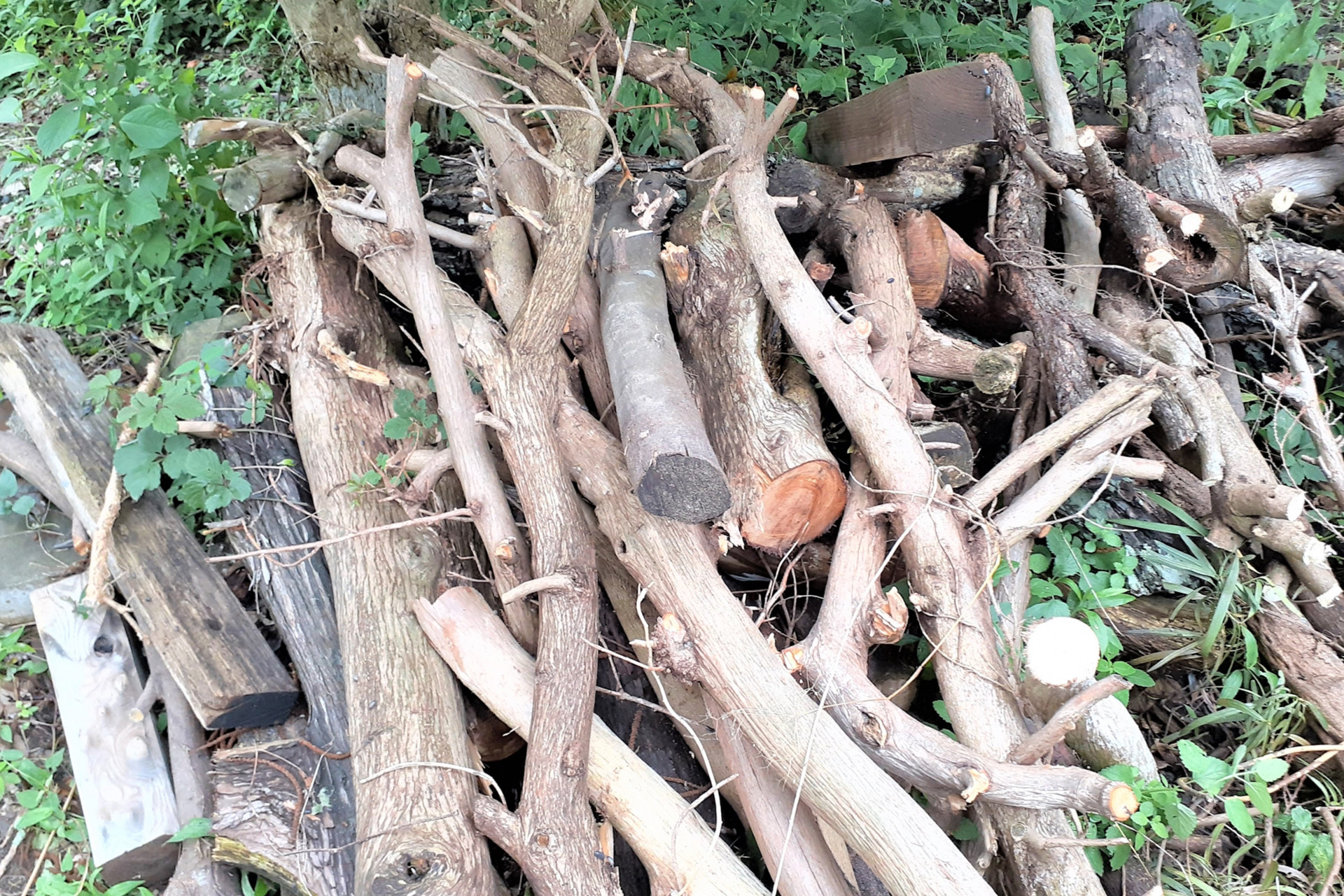 作業後の片付けまで含めた安心対応