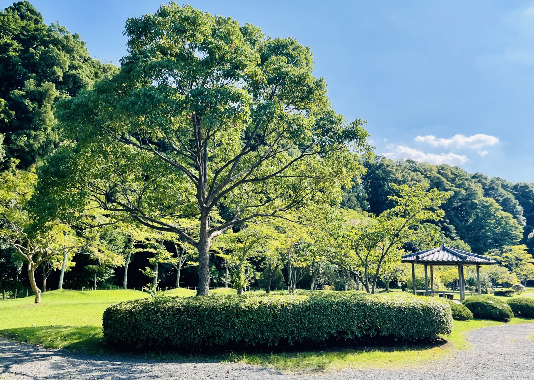 個人宅から施設管理まで幅広く対応