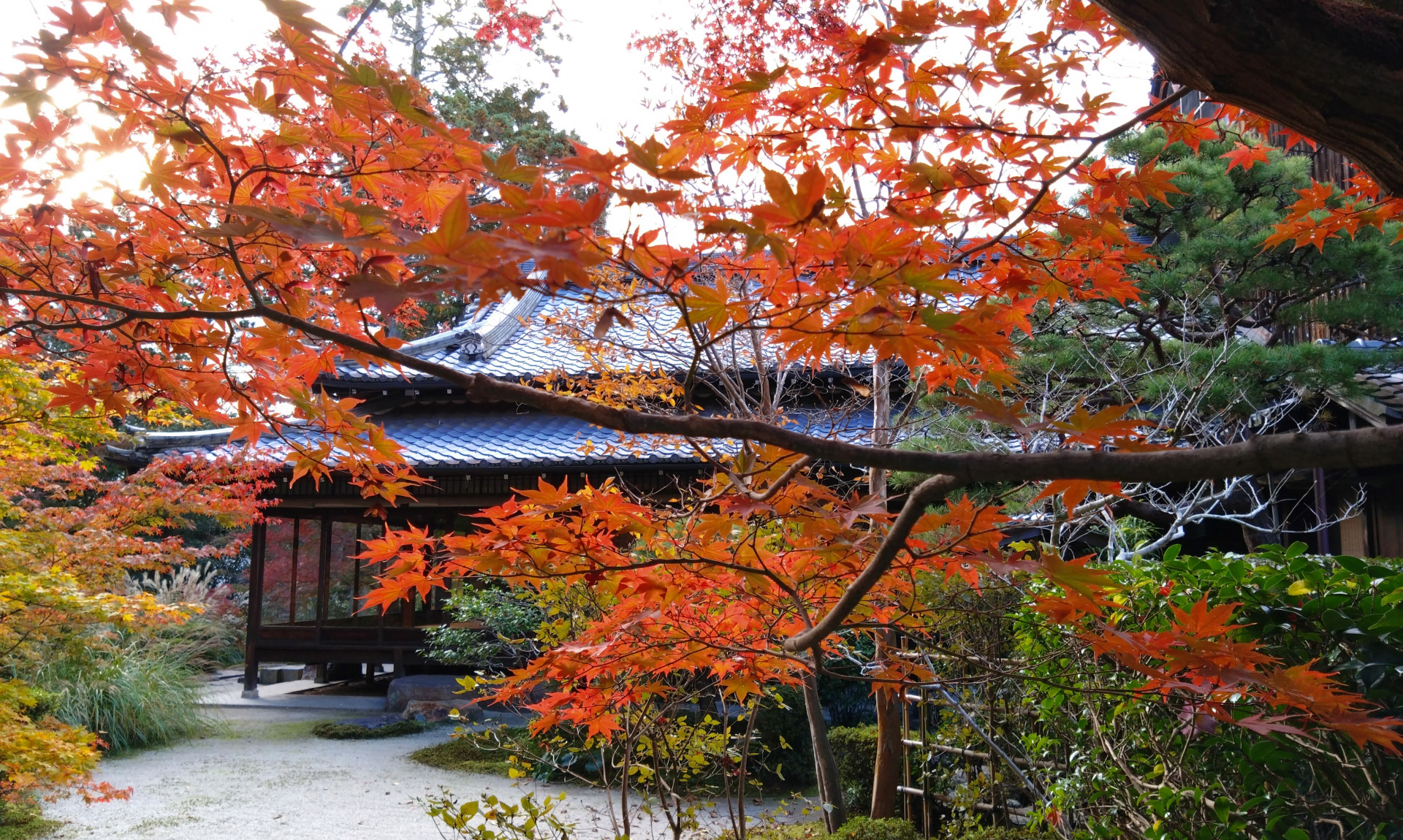 季節ごとに安心、年2回プラン