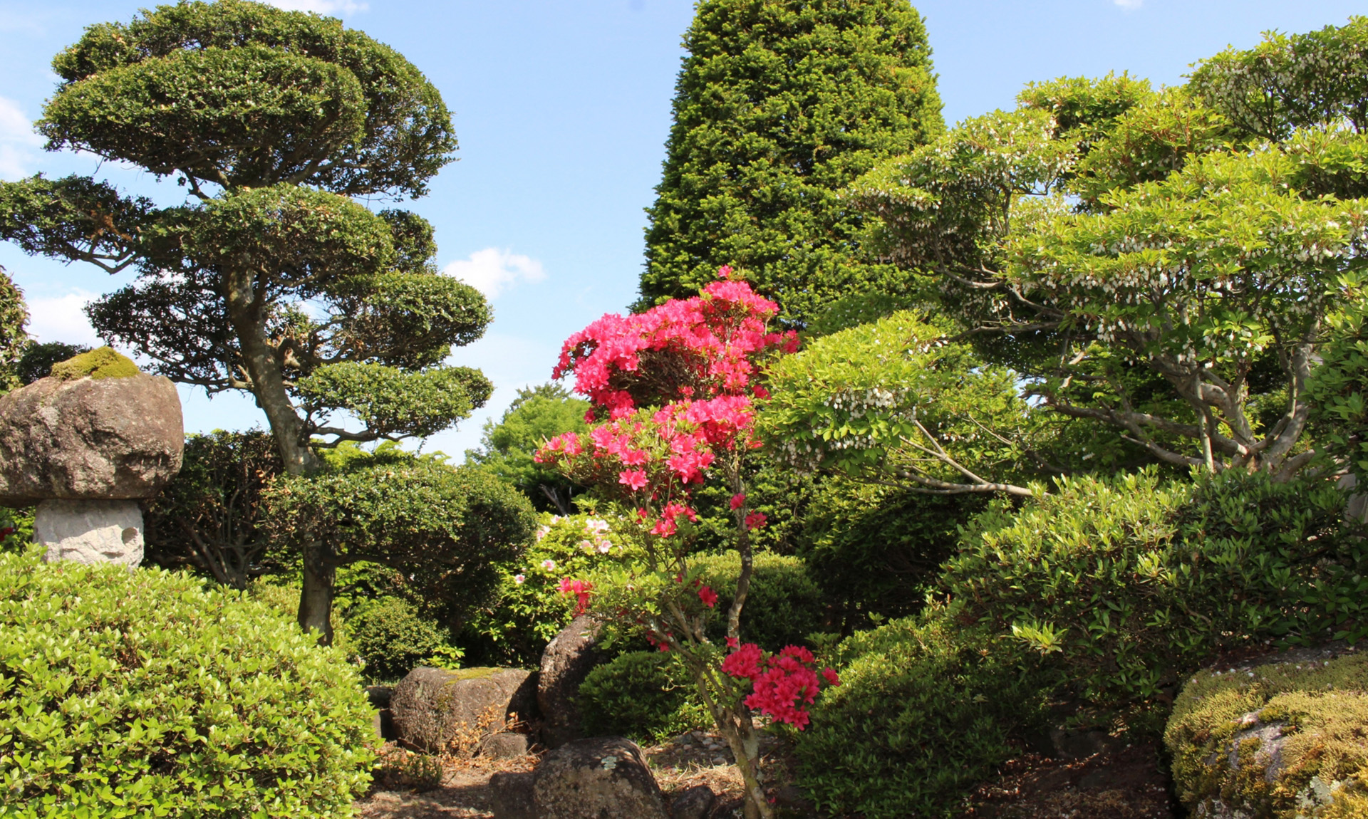 庭を美しく保つ、年4回の定期管理