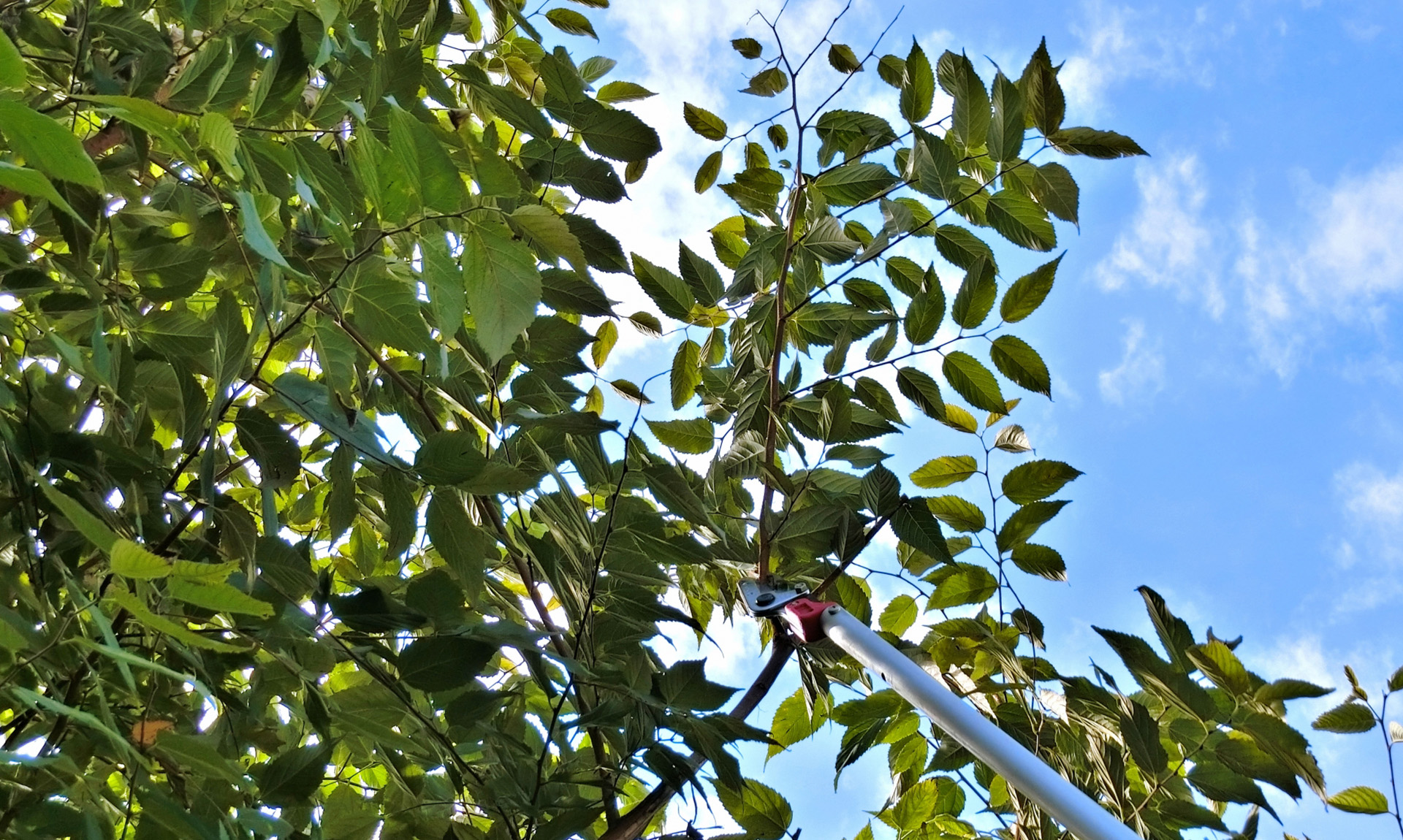 年1回の単発管理も対応可能