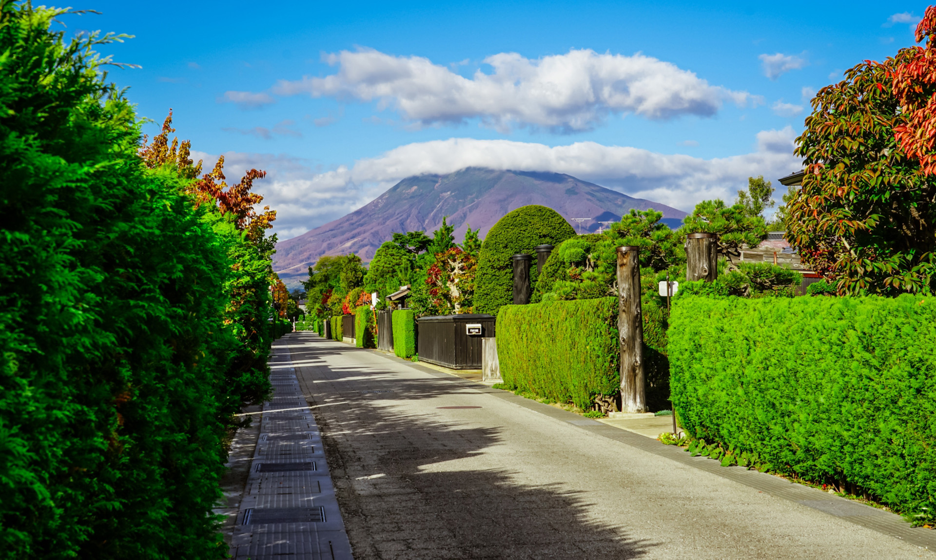 庭木の種類や作業範囲について