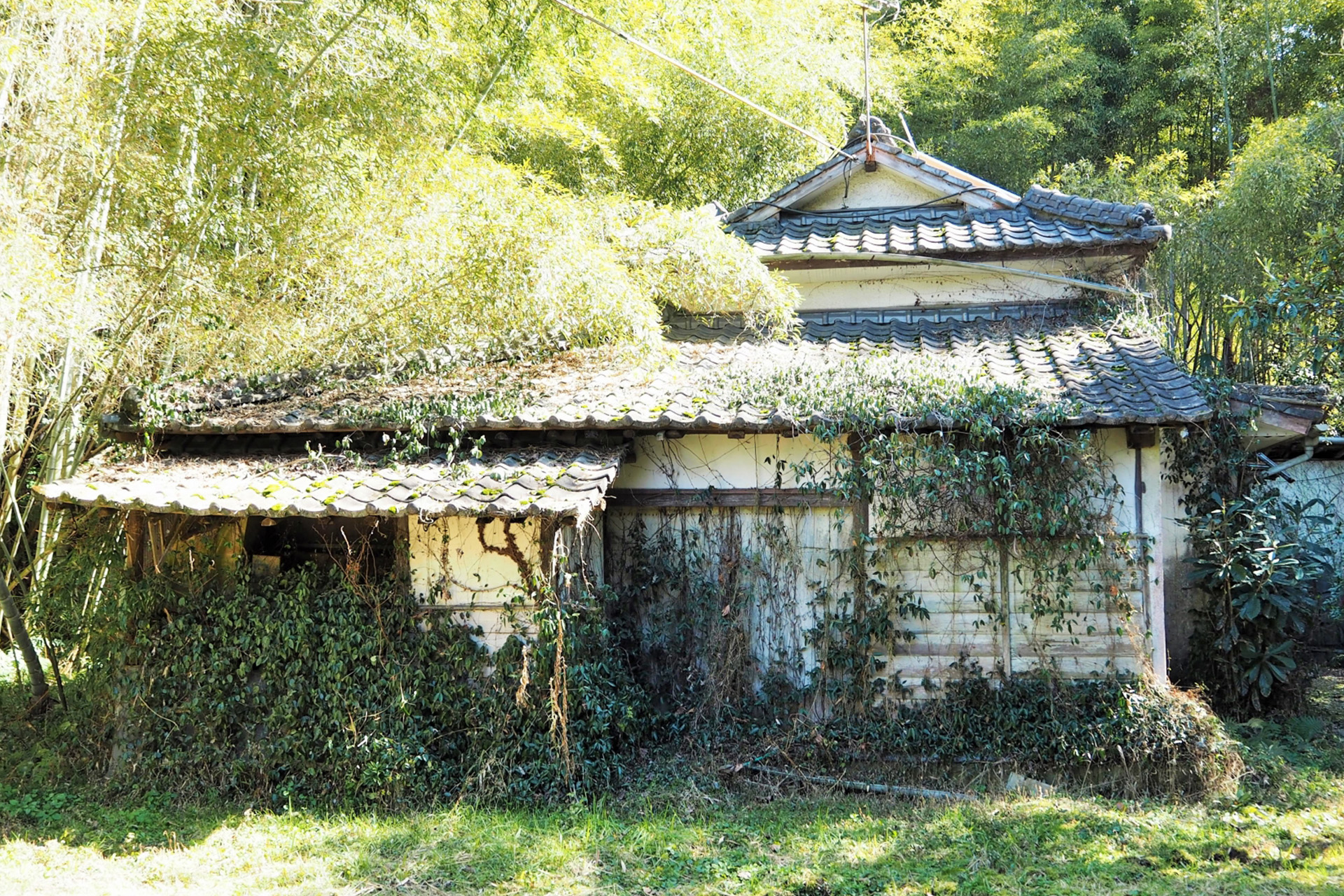 高齢の方・空き家でも安心の立ち会い不要対応