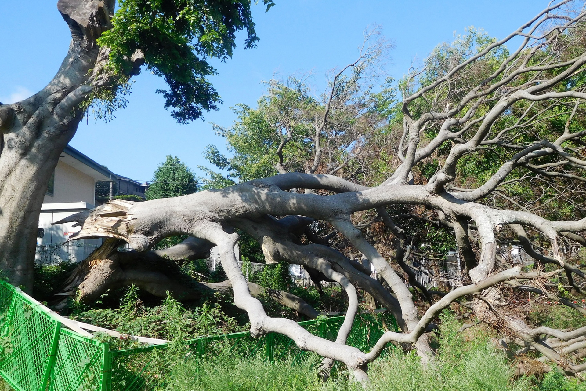 追加費用が必要になる場合の目安